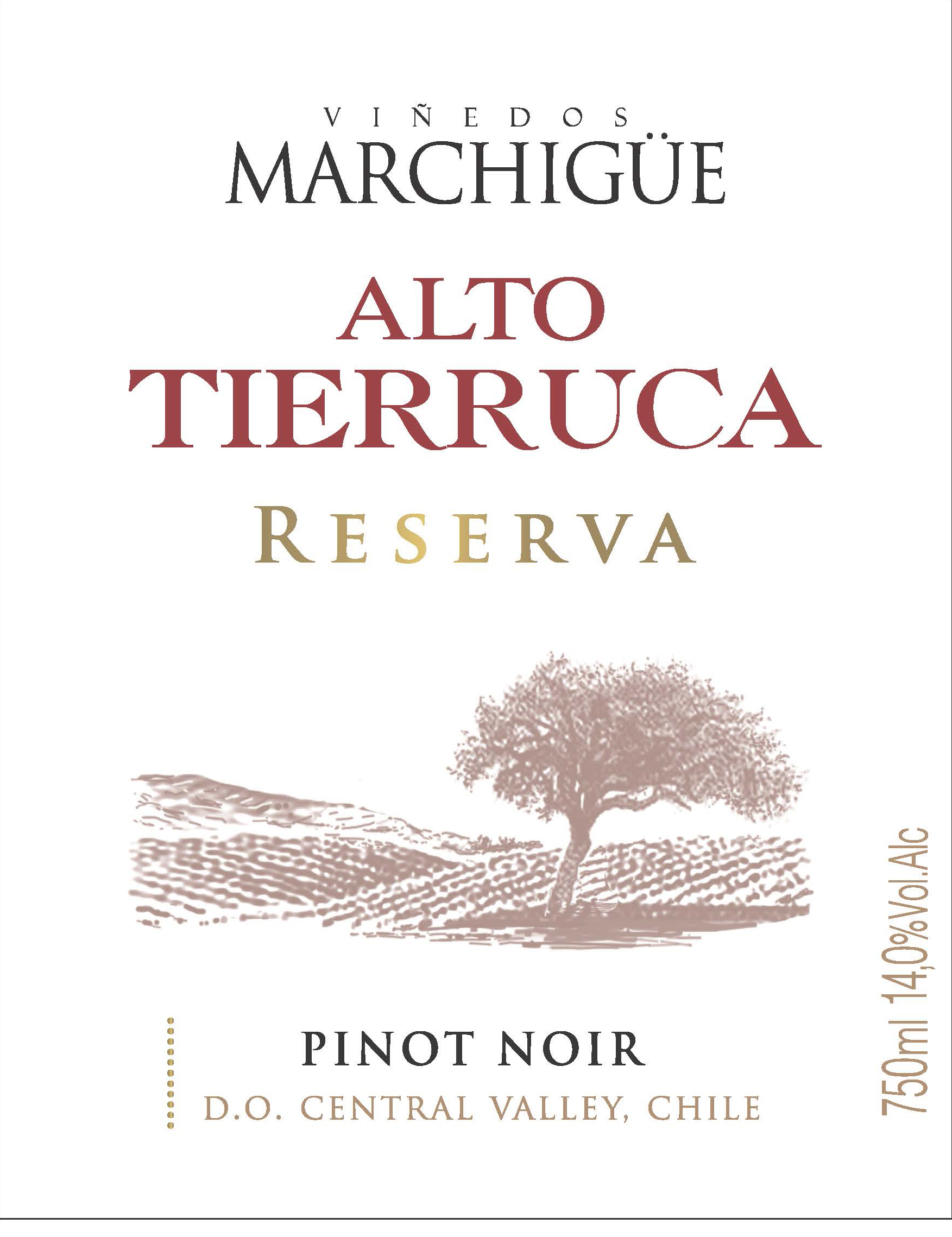 Alto Tierruca - Pinot Noir - Reserva label